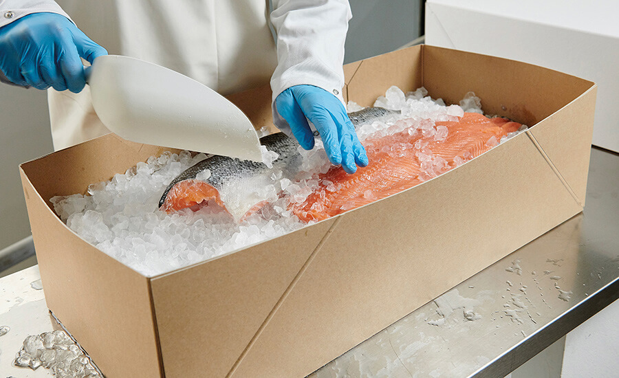Packing inspection & Container Loading Surveys