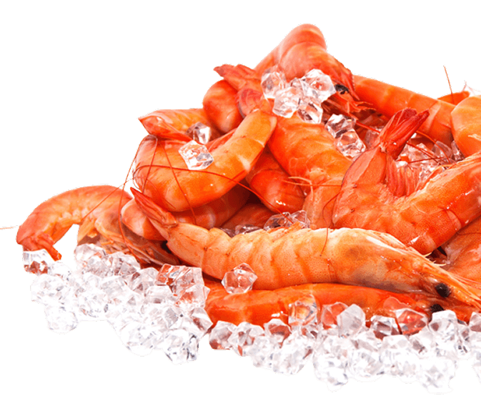 prawn png